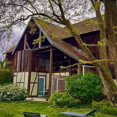 Apartamento Le Séchoir du Ried Rossfeld Exterior foto