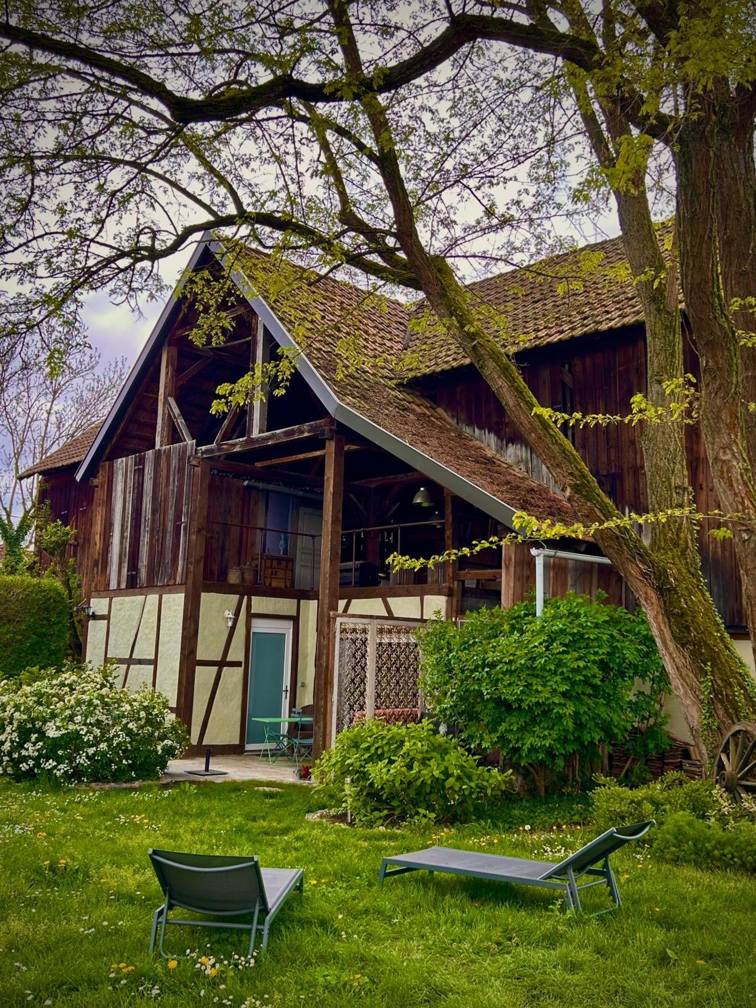 Apartamento Le Séchoir du Ried Rossfeld Exterior foto
